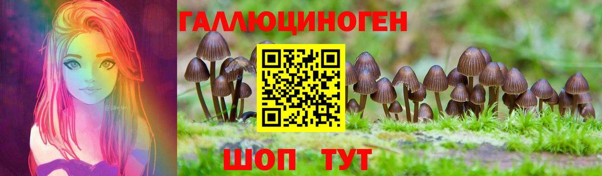 Галлюциногенные грибы Psilocybine cubensis Родники